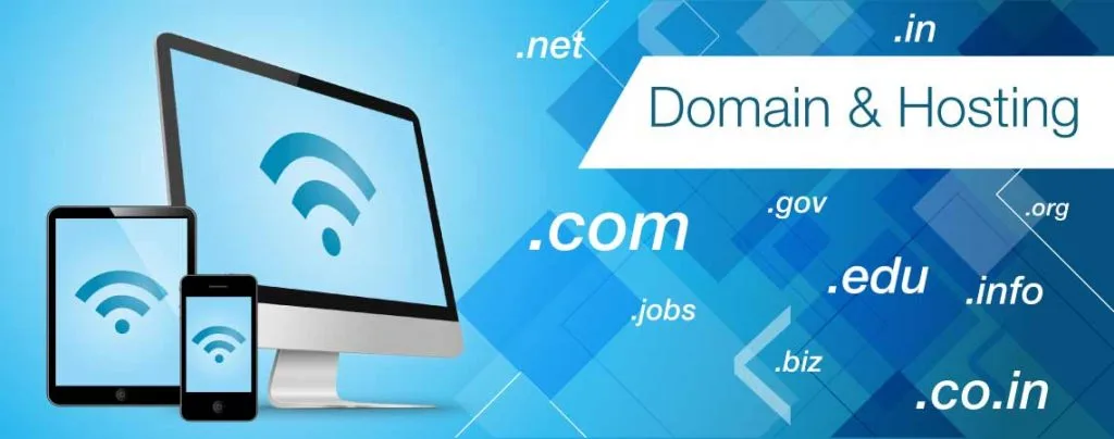 Domain name search